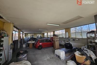 Oportunitate afacere: Spatiu industrial + Casa de locuit - Bogdanestilor - 30