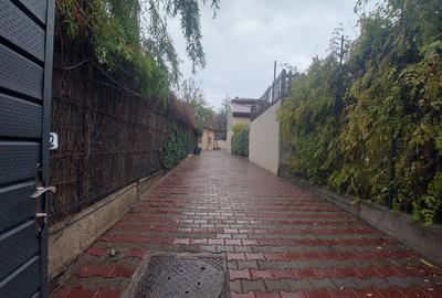 STIRBEI VODA-BERZEI , inchiriere  casa singur curte - 18