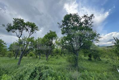 Teren agricol extravilan de 5305 mp, în Periferie