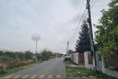 Vanzare Teren construibil 1 Decembrie Ilfov - 7