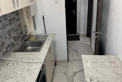 Inchiriere apartament 2 camere Domenii - 7