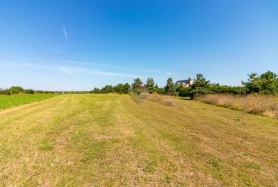 DOMENIU de 5,9 ha I Lac, Casă și Aerodrom – multiple destinații - 10