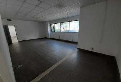Zona bd. Th. Pallady - hala si birouri 550mp - 15