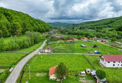 Teren de 2.300 mp în satul Buzăiel, Vama Buzăului - 8