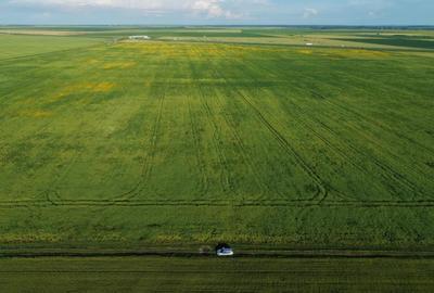 Teren agricol extravilan de 41225 mp, în Dumbrava