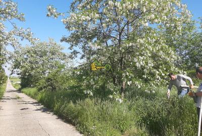Teren Extravilan, Dealu Viilor, Lugoj - 3