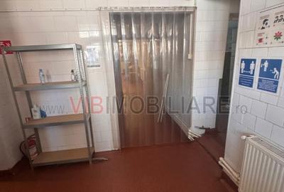 Cladire birouri-hala productie -depozit -Colentina / Lizeanu - 7