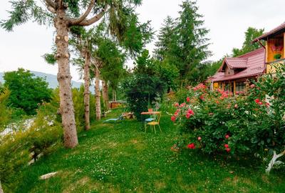 Pensiune de vânzare, Corbșori (Poenari)| potențial real de Business - 42