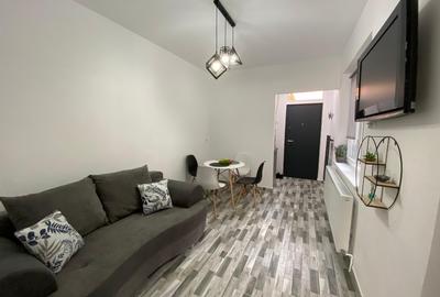 De vânzare apartament central, 2 camere tip Studio - 6