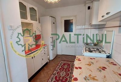 Apartamenr 3 camere, et. 1, Ciresica, Sibiu - 9