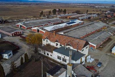 Ansamblu agrozootehnic cu renume,dotat +valoare exceptionala+potential versatil, - 37