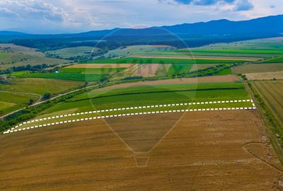 Oportunitate pentru fermieri: 10.800 mp teren arabil în Rotbav, Brașov - 4