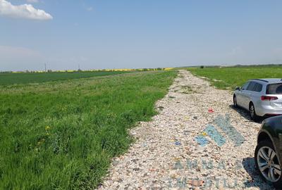 Teren Construcții intravilan de 1000 mp, în Glina