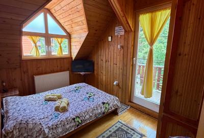 Pensiune Trei Brazi Predeal - 24
