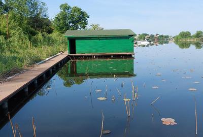Domeniu de excepție pe Lacul Snagov 1,1 ha de intimitate și 140 m deschidere lac - 15