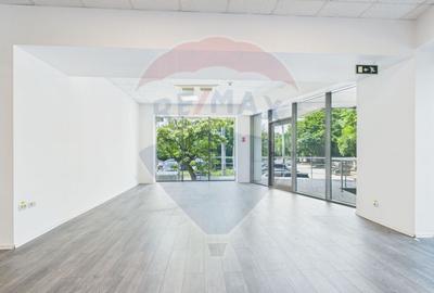 Spațiu comercial parter, 266 mp, diverse activitati în zona Baneasa - 14