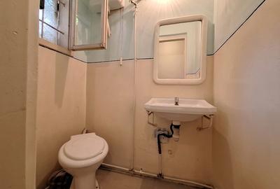 Casa tip duplex cu gradina generoasa-beci+bucatarie de vara+anexe –Zona Lunei - 10