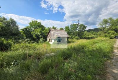 Casa demolabila + teren 1.076mp | Front 50 ml | Paulis Soimus jud HD - 3