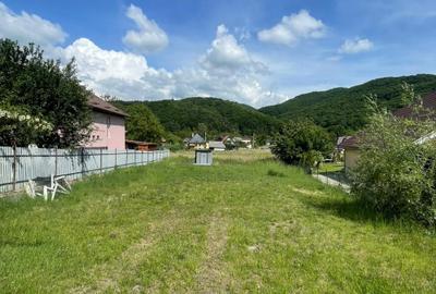 Teren Construcții intravilan de 868 mp, în Ferneziu
