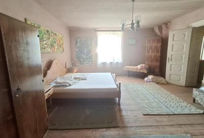 2 Apartamente la casa pivnita garaj in Cisnadie - 29