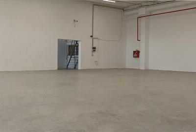 Hala industriala productie sau depozit cu rampa - Freidorf - 4