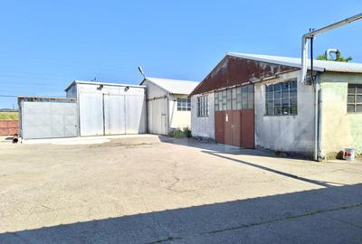 Spațiu industrial, de 1,600.00 mp, în Lipoveni