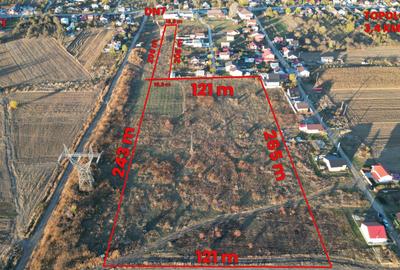 Teren Construcții intravilan de 35000 mp, în Călinești