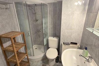 De inchiriat apartament cu o camera ultracentral, et. 1, 320 euro - 5