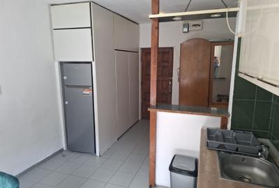 Apartament 2 camere de  inchiriat - LUJERULUI - 8