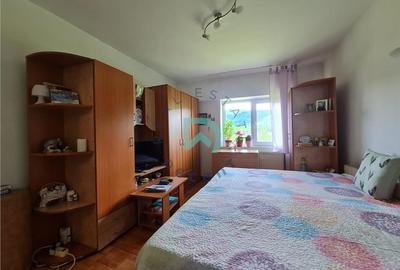 Garsoniera Noua, Brasov - 4