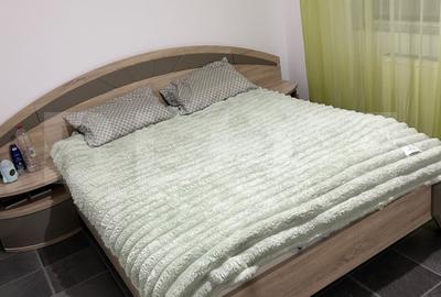 Apartament cu 3 camere decomandat, mobilat în Central