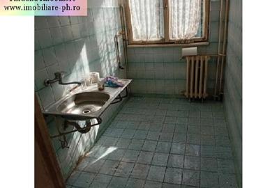 Apartament 3 camere de vanzare : Malu Rosu - 7