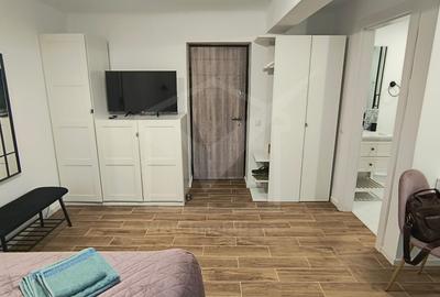 Apartament 1 camera Grigorescu, langa Parcul Central si Grand Hotel Napoca - 12