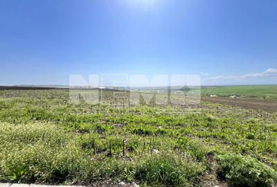 Teren agricol intravilan de 2600 mp, în Moara