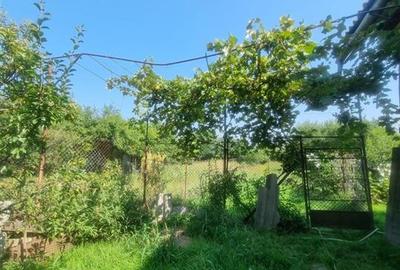 CASA DE VANZARE IN SERCAITA - 20