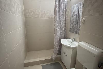 Apartament 2 CAMERE PARC IOR - 8