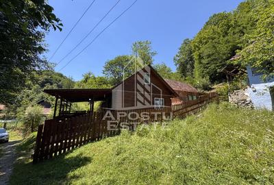 Casa din lemn, zona muntoasa, cu rau, la cheie, Ribita, Hunedoara - 5