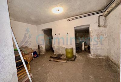 Apartament la casă ultracentral - 14