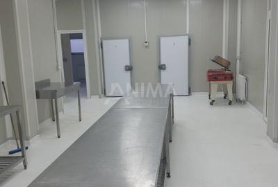 Spațiu industrial, 220 mp în Mărăști