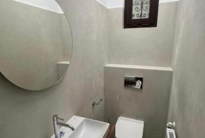 Vila renovata integral Gradina Icoanei - 21