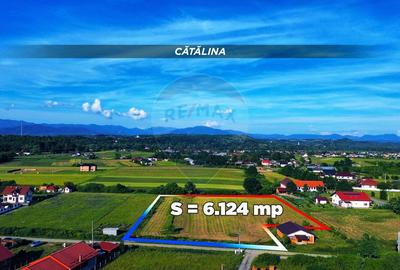 Acuma ai ocazia sa cumperi un teren aproape de Baia Mare sub 1000E/ar - 1