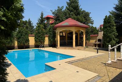 Vila 9 camere cu piscina si teren de 1.000 mp - 2