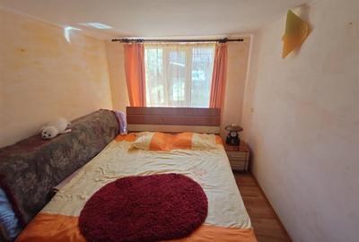 Casa cu gradina si foisor in Brazii Arad - 8