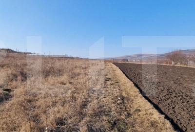 Teren Construcții intravilan de 6800 mp, în Jucu de Sus