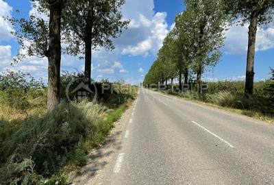 Teren agricol extravilan de 7000 mp, în Miroslava