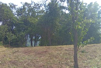 Casă bătrânească plus teren 9515 mp. Sălătrucel sat Serbănesti - 7