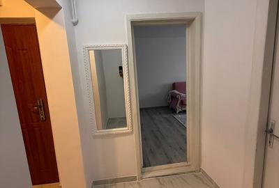 De vanzare apartament cu 2 camere, etaj 4/4, recent renovat, 33.000 euro - 9