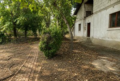 Complex multifuncțional P+M | 3.510 mp teren | Bărcănești - Tătărani - 16