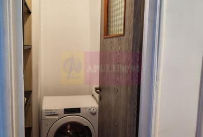 Apartament 2 camere, Drumul Taberei, zona Raul Doamnei - 11