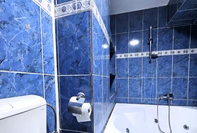 Inchiriere apartament 3 camere zona Colentina / D-na Ghica / vizavi de parc - 10